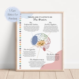 Cómo afecta el trauma al cerebro Decoración de la oficina del terapeuta Recuperación del TEPT TCC Terapia DBT Asesoramiento Trabajador social Psicólogo escolar