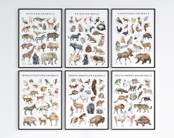 以下が含まれることがあります： 異なる大陸の動物を描いた水彩画のイラストが6つあります。それぞれのイラストは黒い枠で囲まれており、大陸名と「動物」という言葉が書かれています。紹介されている大陸は、アフリカ、アジア、ヨーロッパ、中東、北アメリカ、南アメリカです。