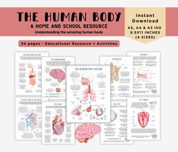 Human Anatomy Unit Study Educational Pack for Teachers, Homeschooling and Montessori Learning Spaces, Watercolor Illustrations