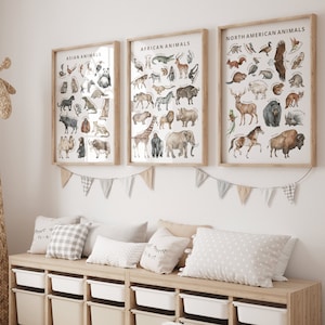 10 láminas del reino animal salvaje para el aula escolar, carteles educativos, recursos Montessori, plan de estudios de educación en el hogar