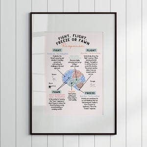 Fight Flight Freeze Fawn Response Print for Therapy Office, Brain Anatomy Mental Health Decor, DBT Therapy Anxiety Psychology