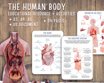 Human Anatomy Unit Study Educational Pack for Teachers, Homeschooling and Montessori Learning Spaces, Watercolor Illustrations