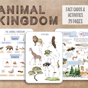 Natuurstudie Dierenrijk Educatief pakket voor leraren, thuisonderwijs en Montessori-leerruimtes, aquarelillustraties