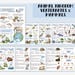 Homeschool Unit Study Bundle: Ocean, Bugs, Animals, Human Body (digital ...