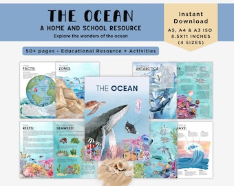 May include: A colorful educational resource about the ocean with watercolor illustrations. The resource includes information about ocean facts, zones, reefs, seaweed, Antarctica, and waves. It is available in four sizes: A5, A4, A3, and 8.5x11 inches.