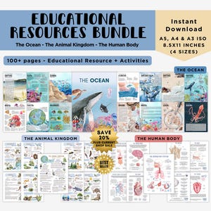 Studie van 3 stuks BUNDEL Educatieve bronnen voor leraren, thuisonderwijs en montessori-leerruimtes, aquarelillustraties