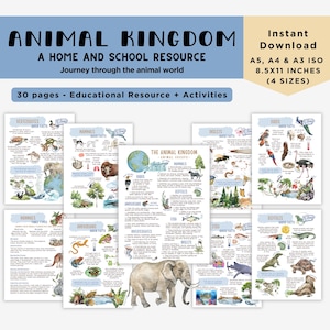 ANIMAL KINGDOM Unit Study Educatieve bronnen voor leraren, thuisonderwijs en montessori-leerruimtes, aquarelillustraties