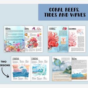 OCEAN Unit Study Educational Resources for Teachers, Homeschool and ...