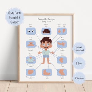 Bilingual Español and English Body Parts Educational Poster, Homeschool Printables, Digital Download, Instant Download