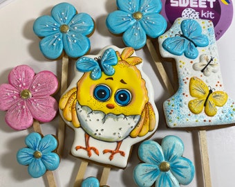 ENSEMBLE DE BISCUITS pour bébé / Ensemble de gâteau d'anniversaire pour nouveau-né / Ensemble de biscuits