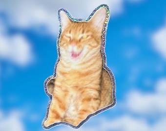 Sticker maudit Max Furstappen | sticker chat maudit | Sticker chat rigolo pour bouteille d'eau