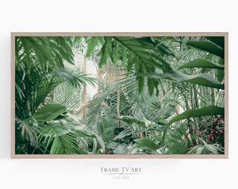 Cadre pour téléviseur Samsung, photographie d'art de la jungle, téléchargement numérique d'art estival