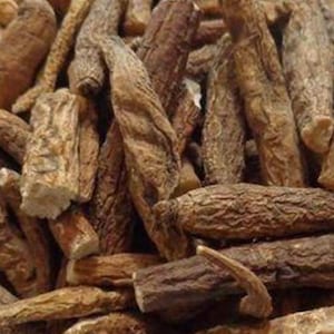 Atish Mithi - Ativisha Sweet - Atiwisha - Ateesh - Aconitum palmatum