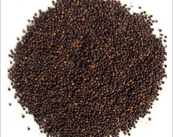 Baibadang - Vaivadang Black - Vidanga - Vayuvilamgam - Embelia Ribes