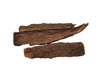 Babul Bark - Kikar Chaal - Vachellia nilotica - Acacia Tree Bark