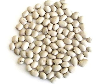 White Kaunch Seeds  - Beej Kaunch Safed - Mucuna Pruriens - Cowhage - Velvet Bean