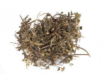 Bhringraj Leaves - Bhangra - Eclipta Alba