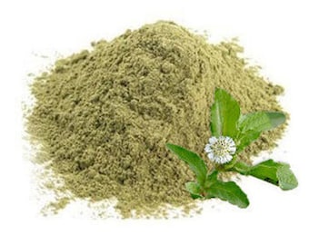 Bhringraj Powder - Eclipta alba - False daisy - Natural and Pure