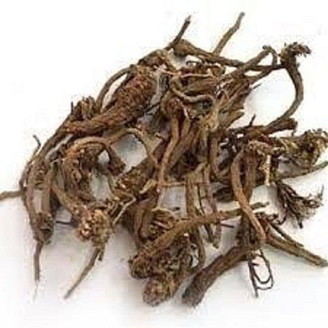 Castor Root - Arand Mool - Arandi Jadd - Erand Mool - Ricinus Communes ...