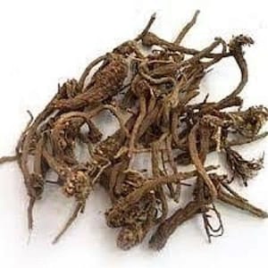Castor Root - Arand Mool - Arandi Jadd - Erand Mool - Ricinus Communes