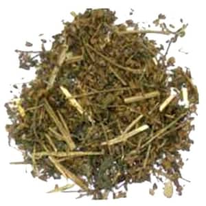 Catnip - Badranj Boya - Billilotan - Nepeta Hindostana