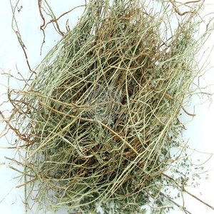 Op de afbeelding: Een hoop gedroogde, bruine en groene plantenstengels en wijnstokken. De stengels zijn dun en verward en vormen een dichte, getextureerde massa.
