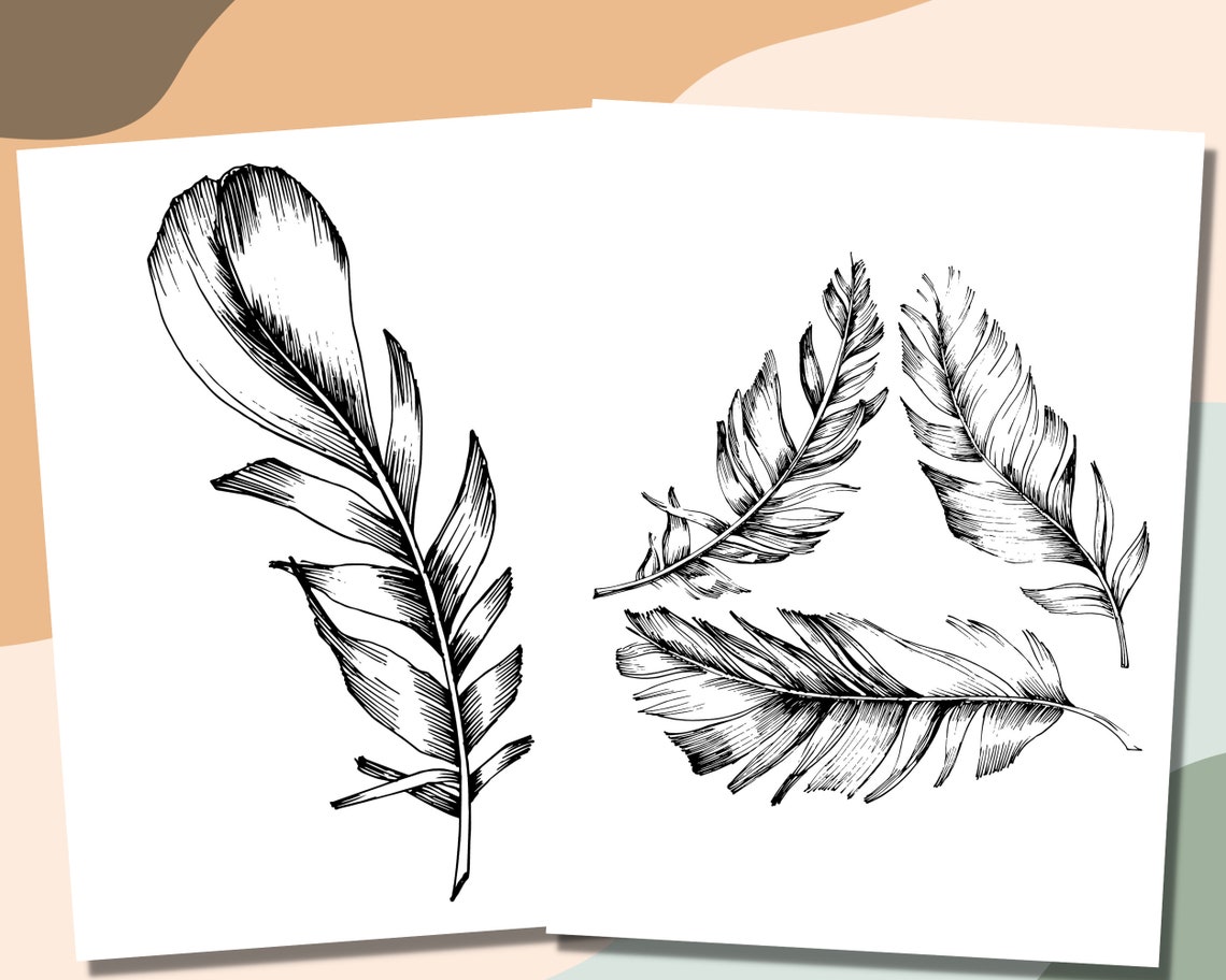 Printable Feathers Coloring Pages 20 Feather Coloring Sheets - Etsy