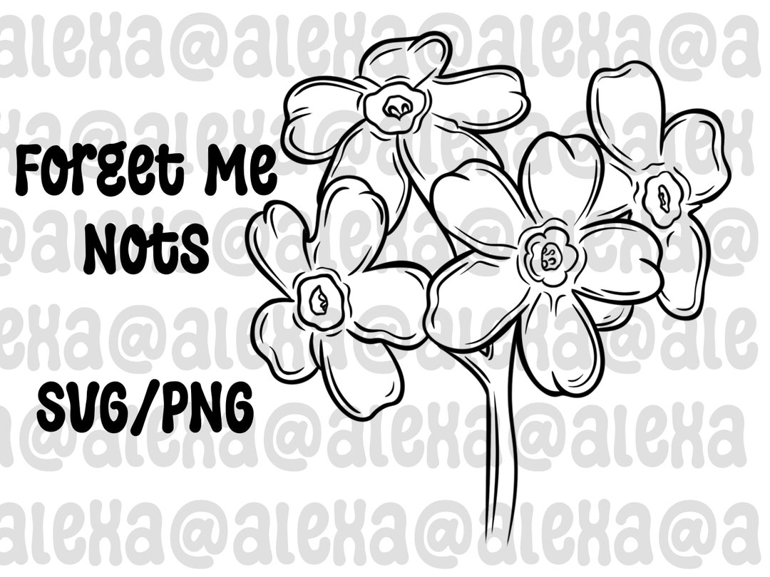 Me Nots Flowers Outline SVG and PNG Files Etsy