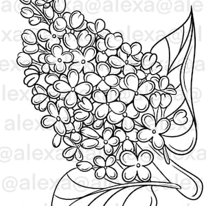 Paquete de 2 SVG/PNG lila para Cricut y otras aplicaciones digitales