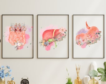 Digestive System Poster, Watercolor Anatomy Art ,Set of 3 Flower Prints Human Floral Anatomy Medical Gift, Nurse Gift, Floral Art Print