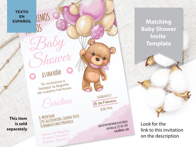 Spanish Diaper Raffle Sign and Diaper Raffle Invitation Insertteddy