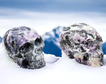Purple Sphalerite Crystal Skulls - Druzy Accent - Metaphysical Decor - Reiki Cleansed