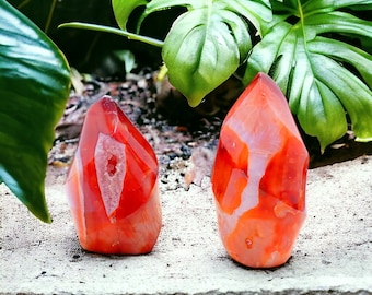 Choice of Carnelian Flame Carving - Vibrant Crystal Decor - Healing Stone - 170-178g