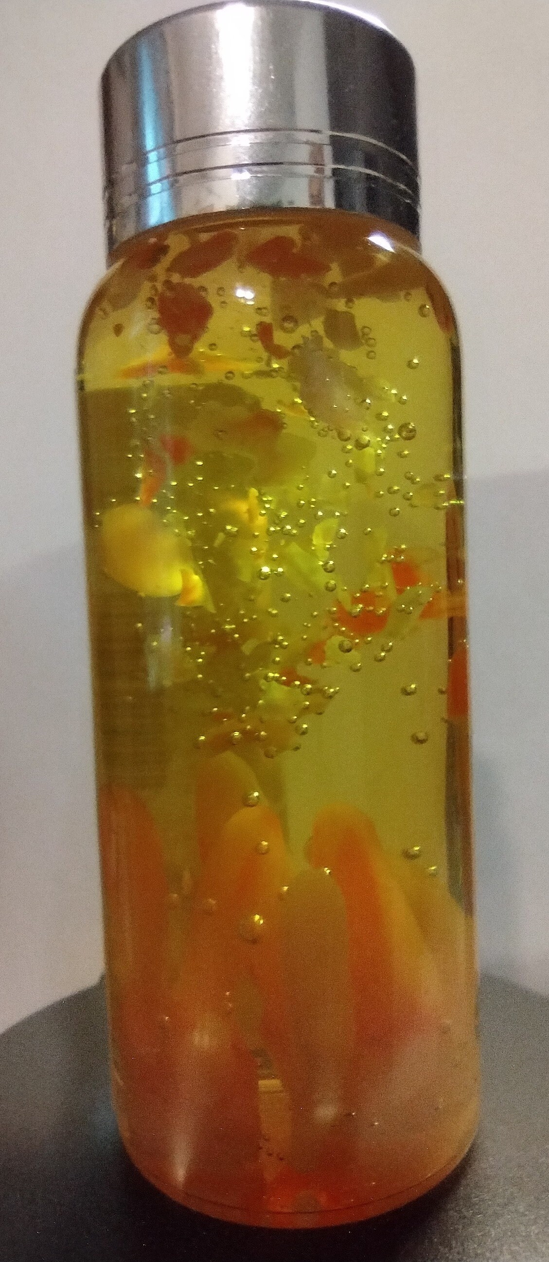 Cordyceps, Il Fungo Parassita Di The Last Of Us - Funghi Magazine - Foto 2