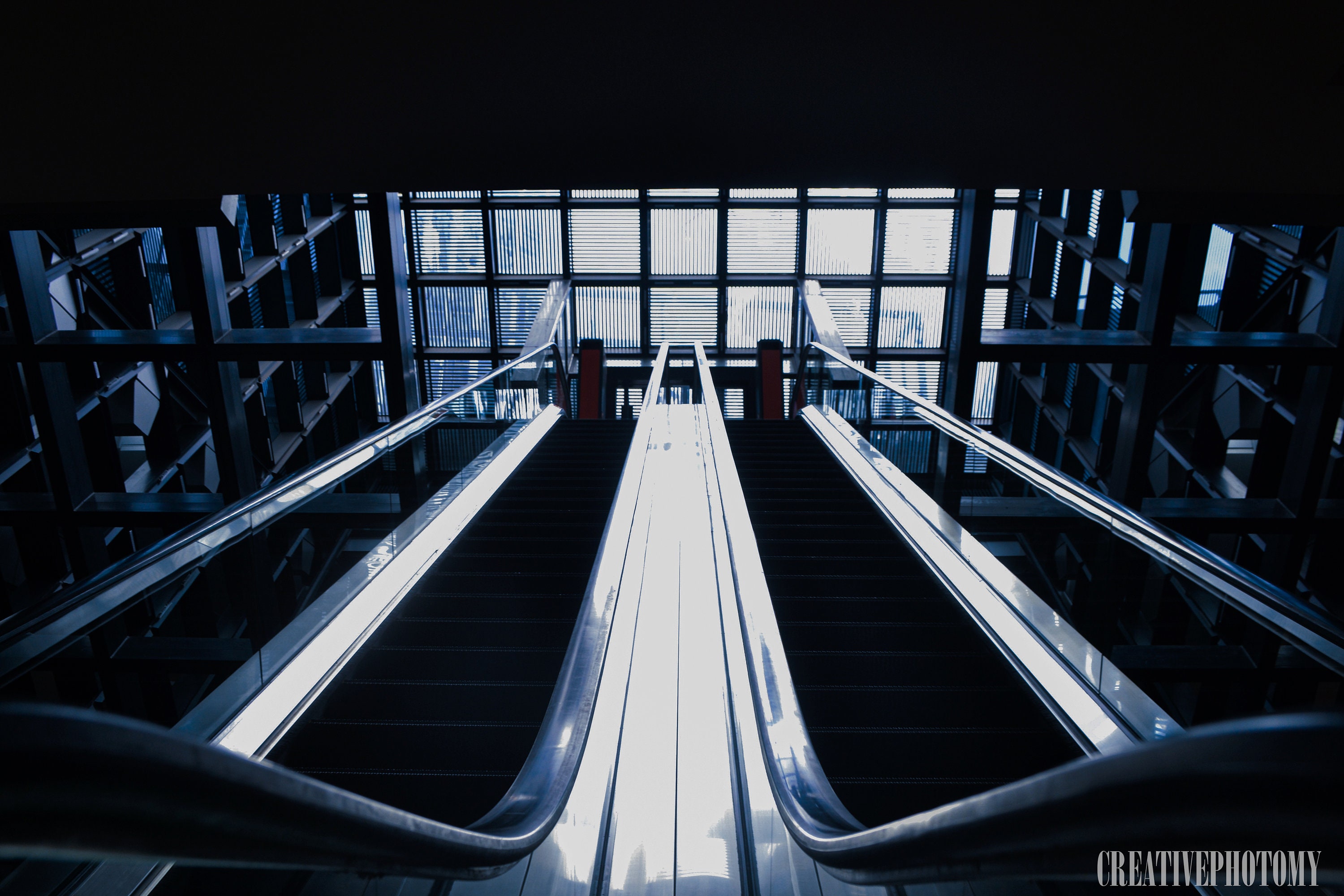 Buy The Escalator Online In India - Etsy India