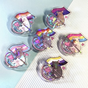 Puede incluir: Cinco pines de bandera del orgullo arcoíris iridiscentes con una rata de dibujos animados sosteniendo cada bandera. Las banderas están en los colores de las banderas del orgullo lesbiana, transgénero, bisexual, pansexual y genderfluid.