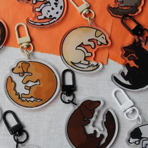 Porte-clés chien bagel - Adorable breloque en acrylique | Berger allemand, Malinois belge, Rottweiler, Teckel, Golden Retriever, Labrador, Dalmatien