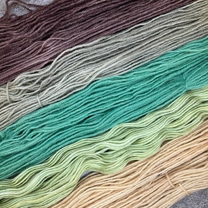 Yarn Minis Wool hand dyed sock wool skein 5x20g knitting crochet mini set grass woodlands highlands garden herbs earth basil image 3