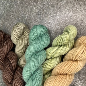 Yarn Minis Wool hand dyed sock wool skein 5x20g knitting crochet mini set grass woodlands highlands garden herbs earth basil image 4