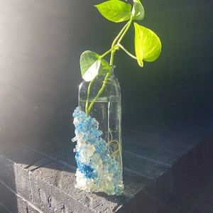 Propagation vase, Vase, Home Decor, Plant lover Gift, Display, Propagation station, Plant gift, Gift for her, Gift, Centerpiece