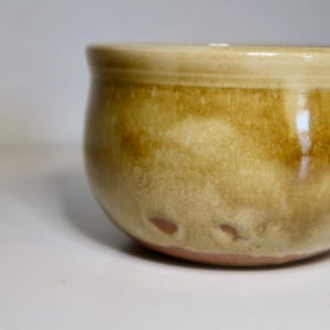 Thrifted Stoneware Succulent Planter: Glazed Ceramic Pot with Drainage