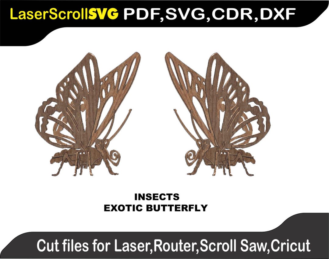 Exotic Butterfly Insect Digital Pattern File for Laser SVG DXF CDR ...