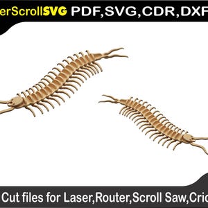 May include: Two laser cut wooden centipede designs. The centipedes are segmented and have long legs. The designs are suitable for use with a laser cutter, router, scroll saw, or Cricut.