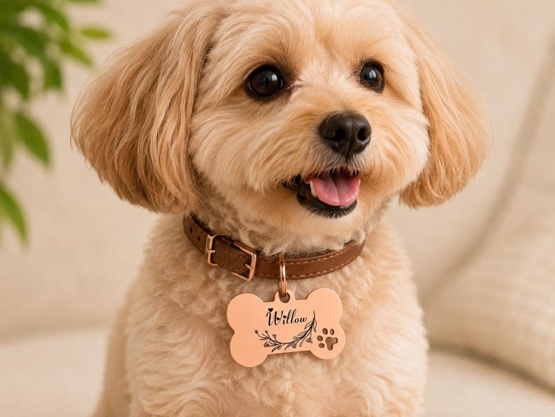 Placa de identificación personalizada para perros, placas de identificación con forma de hueso, placas de identificación para perros, placa para collar de perro, placa de identificación para cachorros, placa de identificación personalizada de acero inoxidable para mascotas. imagen 3