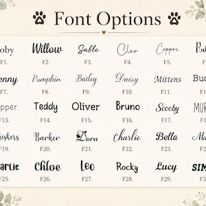Pode incluir: Uma tabela retangular intitulada Font Options apresentando trinta estilos de tipografia pretos distintos rotulados de F1 a F30. Cada entrada exibe um nome em uma fonte &uacute;nica, variando de scripts cursivos elegantes a letras sem serifa limpas.