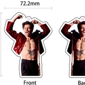 Harry styles Car air freshener one direction fan viral Joke gift Birthday present funny meme scented fast delivery image 2