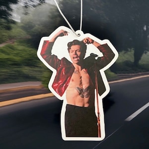 Harry styles Car air freshener one direction fan viral Joke gift Birthday present funny meme scented fast delivery image 1