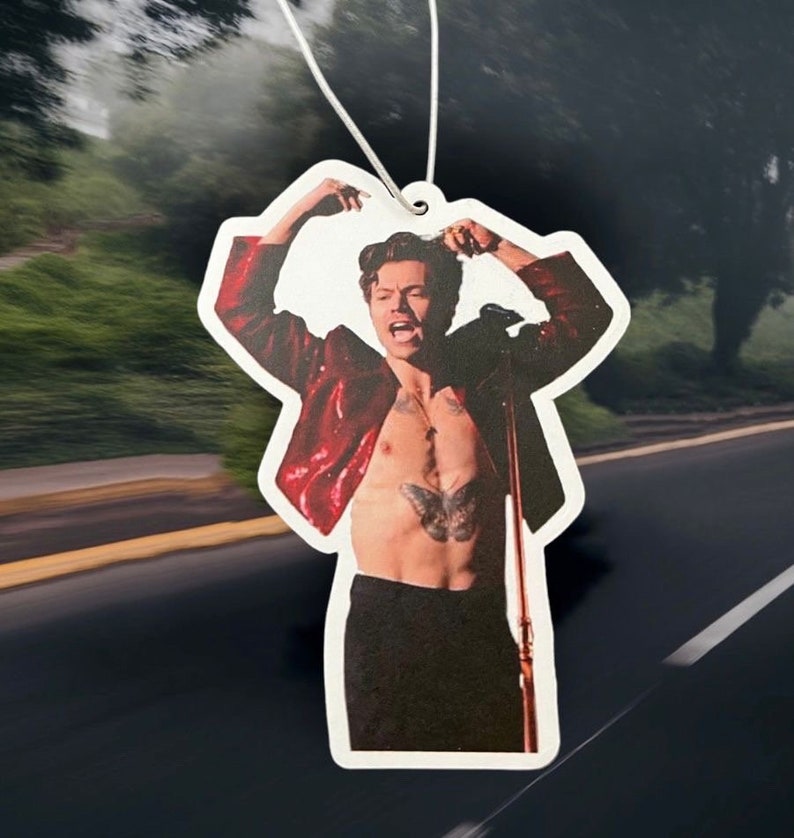 Harry styles Car air freshener one direction fan viral Joke gift Birthday present funny meme scented fast delivery image 1