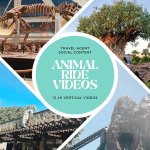 Animal Ride Videos for Travel Agents