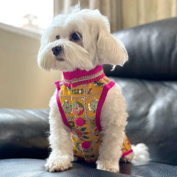 Traditional embroidery Yellow & Pink Sherwani for dogs and cats | Ethnic Indian Pet outfit | Yellow Haldi Ceremony dog Waistcoat Shirt